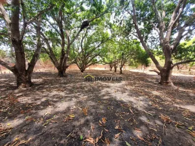 Lote/Terreno à venda, 33000m² no Gurupi, Teresina
