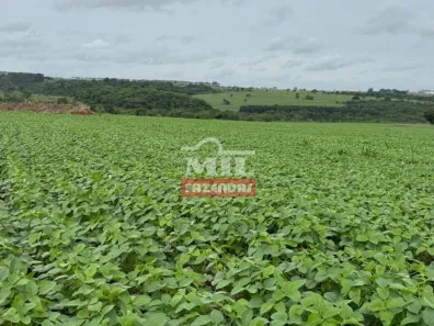 Fazenda/Sítio à venda, 1160300m² no , Hidrolândia