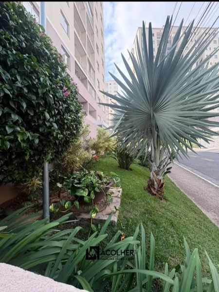 Foto 24