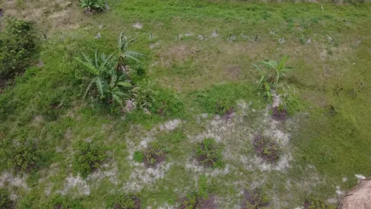 Lote/Terreno à venda, 2200m² no Área Rural de Cachoeiras de Macacu, Cachoeiras de Macacu
