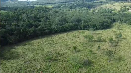 Fazenda/Sítio à venda, 120000m² no CENTRO, São Miguel do Passa Quatro