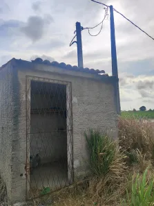 Fazenda/Sítio com 1 Quarto à venda, 40000m² no , São José de Mipibu