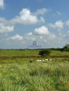 Fazenda/Sítio à venda, 2366043m² no , São Sebastião do Passé