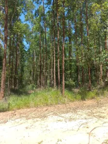 Fazenda/Sítio à venda, 1894860m² no Área Rural de Paulistânia, Paulistânia