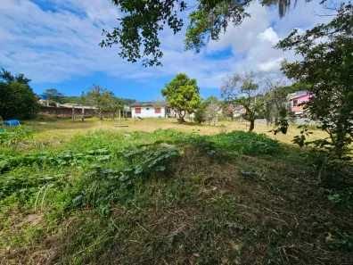 Lote/Terreno à venda, 2016m² no Cachoeira do Bom Jesus, Florianópolis