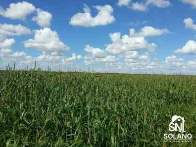 Fazenda/Sítio com 3 Quartos à venda, 40000m² no , Cocos