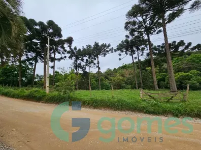 Lote/Terreno à venda, 9767m² no Colônia Antônio Prado, Almirante Tamandaré