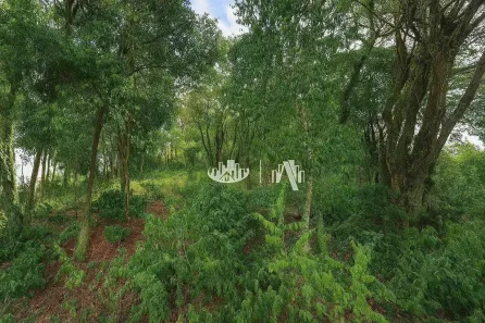 Lote/Terreno à venda, 5559m² no Chácaras São Miguel, Londrina