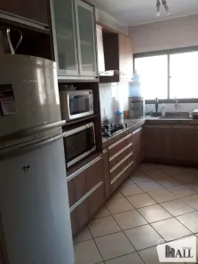 Apartamento com 3 Quartos à venda, 113m² no Jardim Residencial Vetorasso, São José do Rio Preto
