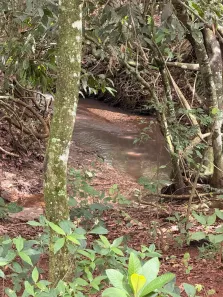Fazenda/Sítio à venda, 100000m² no , Hidrolândia