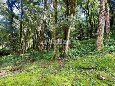 Casa de Condomínio com 1 Quarto à venda, 996m² no Bosque Sinoserra, Canela