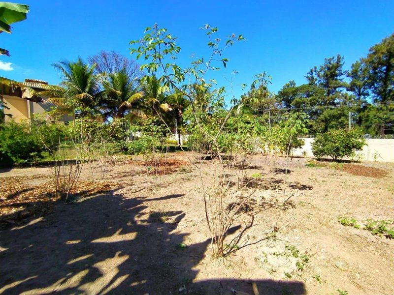 Foto 41