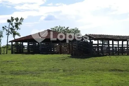 Fazenda/Sítio com 3 Quartos à venda, 1570000m² no Setor Central, Pilar de Goiás