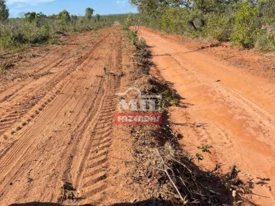 Fazenda/Sítio à venda, 13000m² no , Ponte Alta do Tocantins