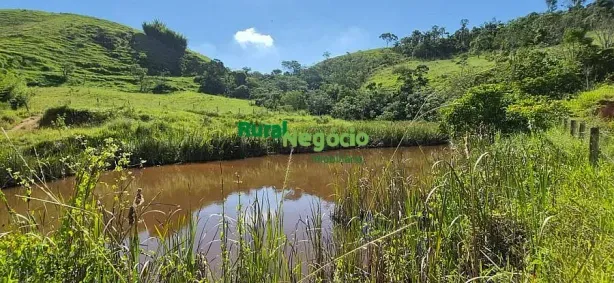 Fazenda/Sítio à venda, 137100m² no Centro, Guaratinguetá