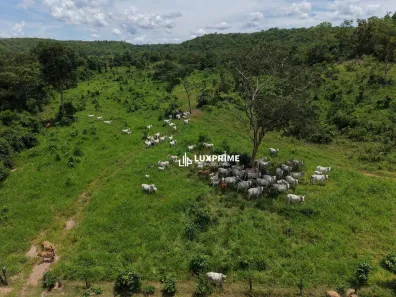 Fazenda/Sítio à venda, 9438000m² no , Aparecida do Rio Negro