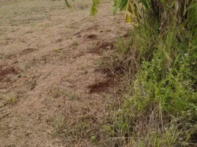 Fazenda/Sítio com 1 Quarto à venda, 450m² no Alvorada do Sul, Alvorada do Sul