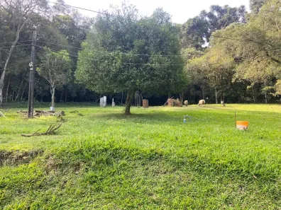 Lote/Terreno à venda, 33719m² no Cachoeira, São José dos Pinhais