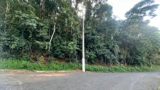 Lote/Terreno à venda, 250m² no Borboleta, Juiz de Fora
