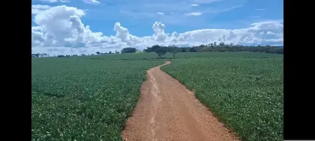 Fazenda/Sítio com 3 Quartos à venda, 750000m² no Centro, Formosa