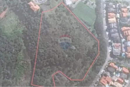 Lote/Terreno à venda, 29020m² no Alphaville, Santana de Parnaíba