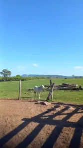 Fazenda/Sítio à venda, 970000m² no Centro, Terenos