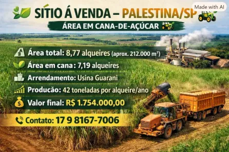 Fazenda/Sítio à venda, 212234m² no Centro, Palestina