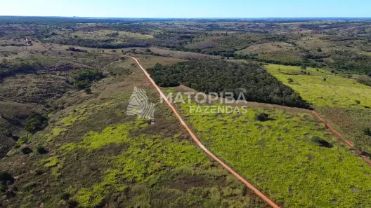 Fazenda/Sítio à venda, 1060000m² no Área Rural, Correntina