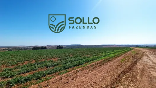 Fazenda/Sítio com 3 Quartos à venda, 260m² no , Hidrolândia