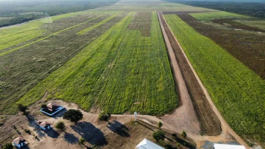com 10 Quartos à venda, 4083m² no , Barra