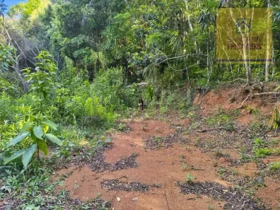 Lote/Terreno à venda, 58650m² no Centro, Campo Largo