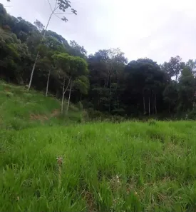 Fazenda/Sítio com 1 Quarto à venda, 580m² no Varginha, Santo Amaro da Imperatriz