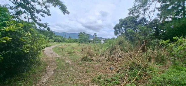 Lote/Terreno para alugar, 17000m² no Cacupé, Florianópolis