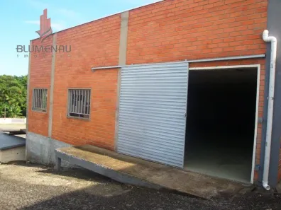 Galpão/Depósito/Armazém para alugar, 250m² no Salto do Norte, Blumenau