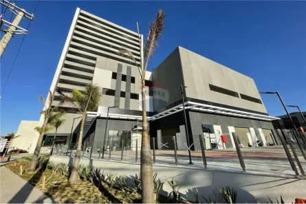 Sala Comercial para alugar, 557m² no Várzea da Barra Funda, São Paulo