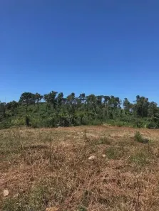 Lote/Terreno à venda, 20000m² no , Urubici
