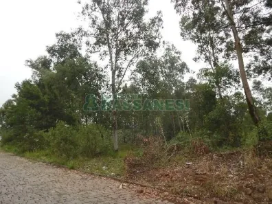 Lote/Terreno para alugar, 14700m² no Forqueta, Caxias do Sul