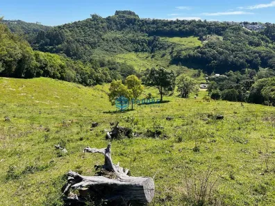 Fazenda/Sítio com 1 Quarto à venda, 28000m² no São Victor COHAB, Caxias do Sul