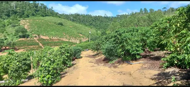 Fazenda/Sítio à venda, 1m² no , Rio Bananal