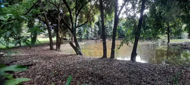 à venda, 24000m² no Centro, Sertãozinho