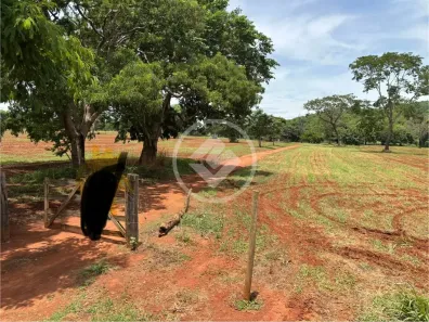 Lote/Terreno à venda, 193600m² no Jardim das Oliveiras, Senador Canedo