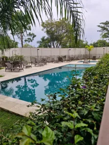 Apartamento com 2 Quartos à venda, 36m² no Guaianazes, São Paulo