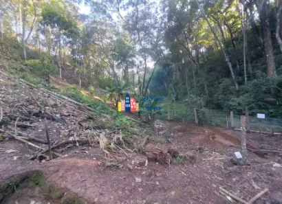 Lote/Terreno à venda, 5000m² no Chácara Jaguari (Fazendinha), Santana de Parnaíba
