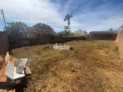Lote/Terreno à venda, 360m² no Santa Mônica, Uberlândia
