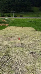 Lote/Terreno à venda, 1000m² no , Belmiro Braga