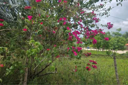 Lote/Terreno à venda, 300m² no Caiçara, Cruz