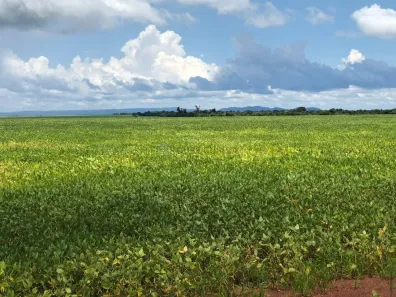 com 3 Quartos à venda, 900m² no , Santa Terezinha