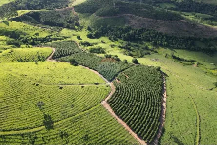 Fazenda/Sítio com 4 Quartos à venda, 4300000m² no Área Rural de Poços de Caldas, Poços de Caldas