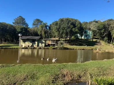 Fazenda/Sítio com 3 Quartos à venda, 200m² no Balsa Nova, Balsa Nova
