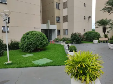Apartamento com 3 Quartos à venda, 65m² no Gleba Fazenda Palhano, Londrina